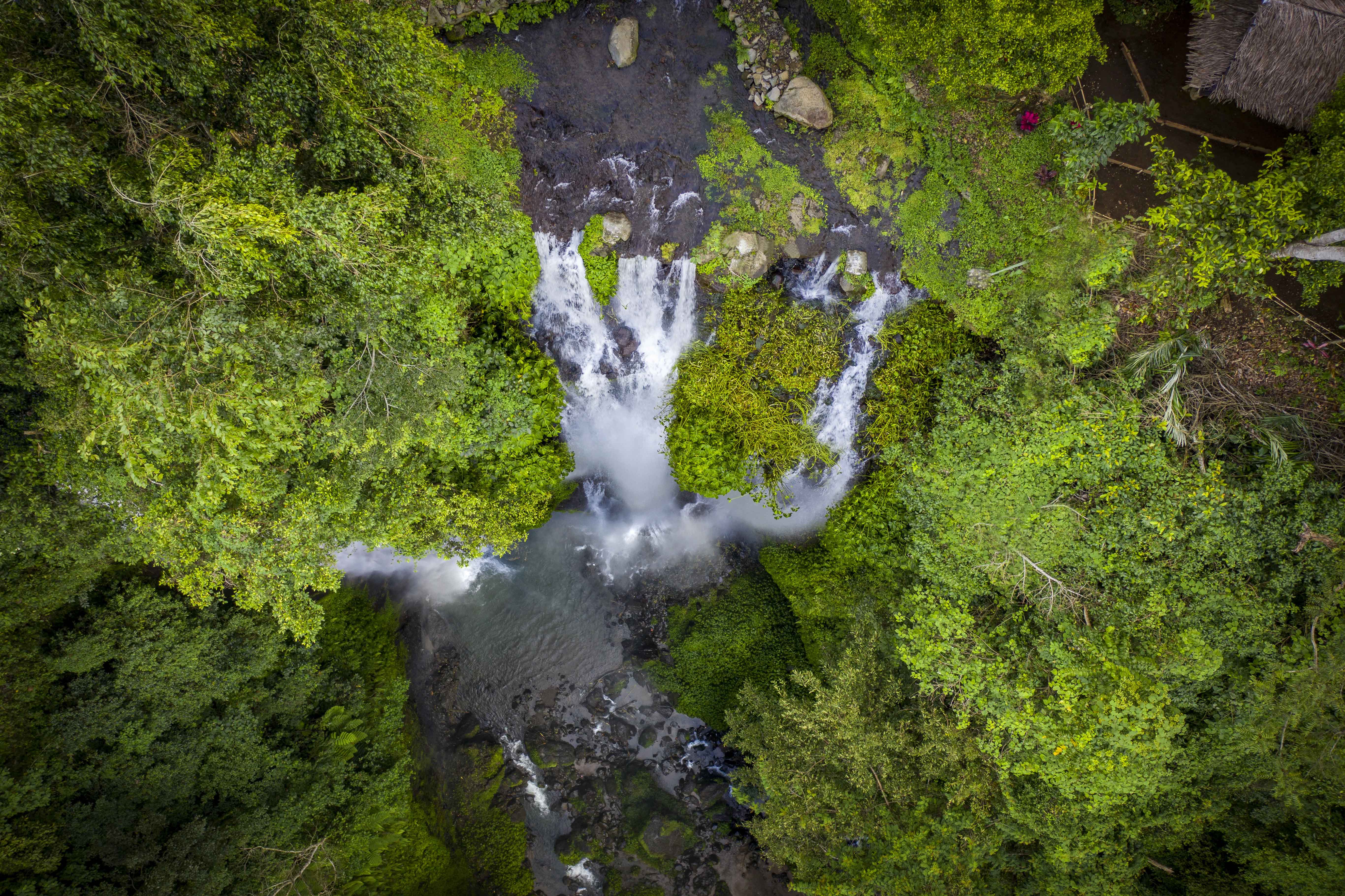 Aerial view looking straight down a waterfall in dense rainforest in Bali, Asia